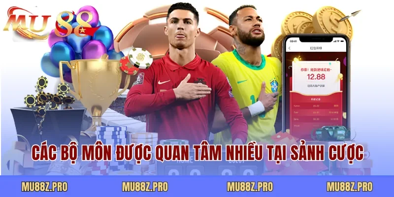 Các bộ môn được quan tâm nhiều tại sảnh cược