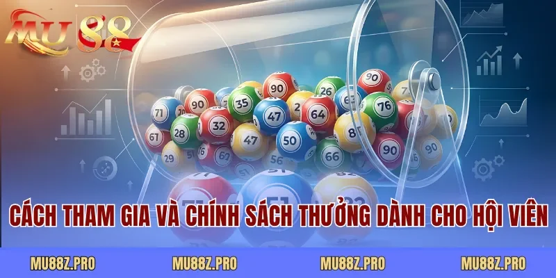 Quy trình tham gia và chính sách thưởng dành cho hội viên