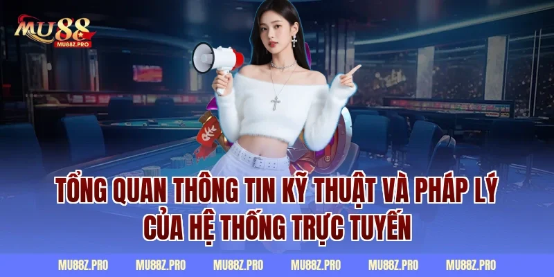 Tổng quan thông tin kỹ thuật và pháp lý của hệ thống trực tuyến